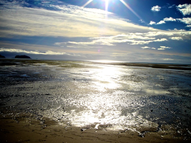 NZ Abel Tasman Calm